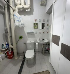 Blk 250C Compassvale Haven (Sengkang), HDB Executive #441388191